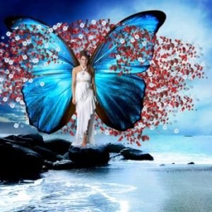 1525440-bigthumbnail