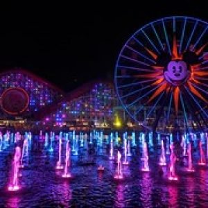 49594814517_d4464058a6_m