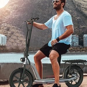 77555b9c-650f-47f4-93e0-bcc346141810-cr0-0-362-453-pt0-sx362-v1_orig