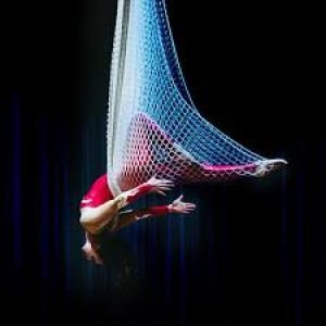 Aerial Net2