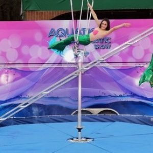 Aquatic Show3