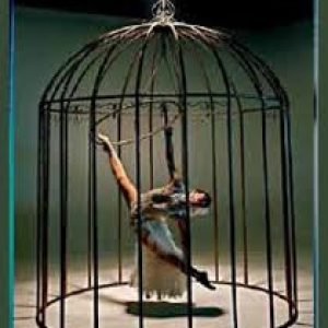 Bird in cage1