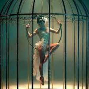 Bird in cage2