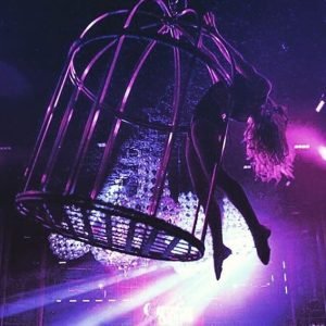 Bird in cage3