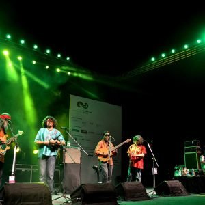 Bollywood fusion bands 3
