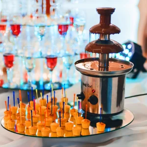 Chocolate Fountain2