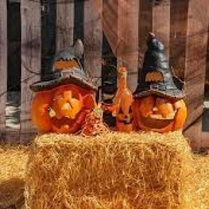 Custom Halloween Creations UAE1