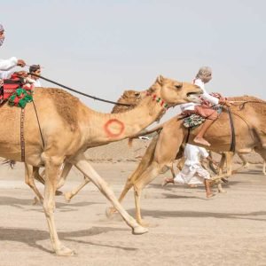 Famous-traditional-sports-in-the-UAE-_-Cover-12-1-23