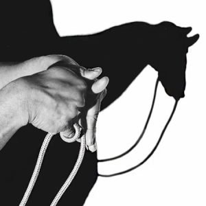 Hand Shadow Master Image1