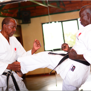 Karate Demonstration Dubai3