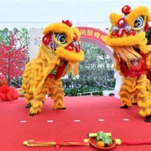 Lion and Dragon Dancers UAE1