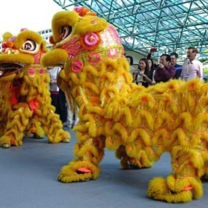 Lion and Dragon Dancers UAE2