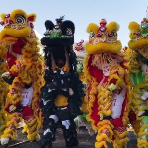 Lion and Dragon Dancers UAE3