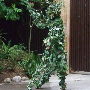 Tree Stilt Walkers4