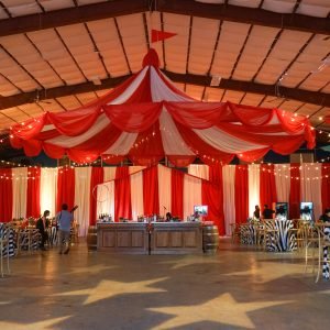 Vintage Circus Themed Show3