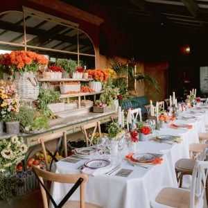 expertise-event-concept-creativity-1-scaled