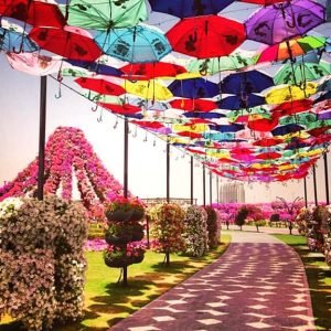 umbrella-passage-history-dubai-miracle-garden